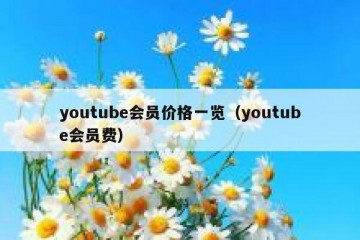 youtube会员价格一览（youtube会员费）