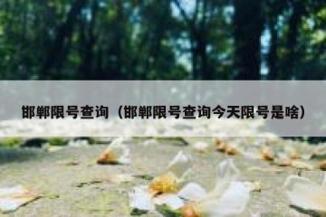 邯郸限号查询（邯郸限号查询今天限号是啥）