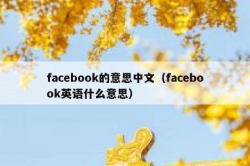 facebook的意思中文（facebook英语什么意思）
