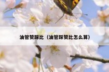 油管赞踩比（油管踩赞比怎么算）