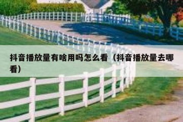抖音播放量有啥用吗怎么看（抖音播放量去哪看）