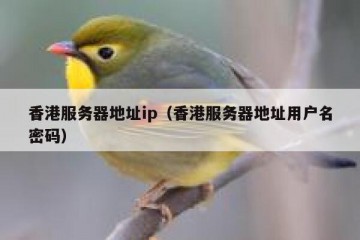 香港服务器地址ip（香港服务器地址用户名密码）