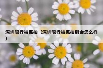 深圳限行被抓拍（深圳限行被抓拍到会怎么样）