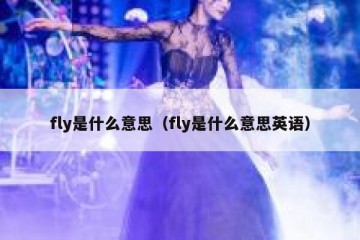 fly是什么意思（fly是什么意思英语）