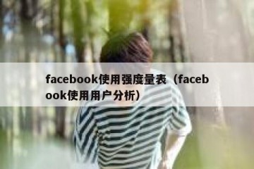 facebook使用强度量表（facebook使用用户分析）