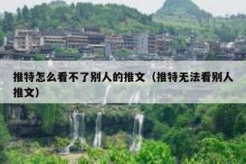 推特怎么看不了别人的推文（推特无法看别人推文）