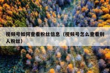 视频号如何查看粉丝信息（视频号怎么查看别人粉丝）