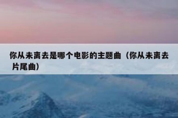 你从未离去是哪个电影的主题曲（你从未离去 片尾曲）