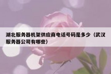 湖北服务器机架供应商电话号码是多少（武汉服务器公司有哪些）