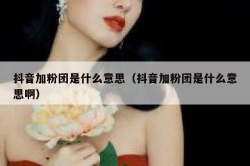 抖音加粉团是什么意思（抖音加粉团是什么意思啊）