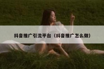 抖音推广引流平台（抖音推广怎么做）