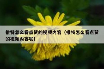 推特怎么看点赞的视频内容（推特怎么看点赞的视频内容呢）