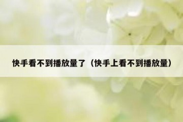 快手看不到播放量了（快手上看不到播放量）
