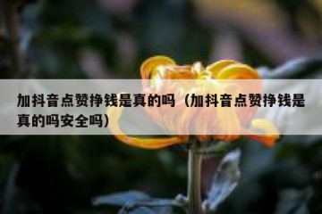 加抖音点赞挣钱是真的吗（加抖音点赞挣钱是真的吗安全吗）