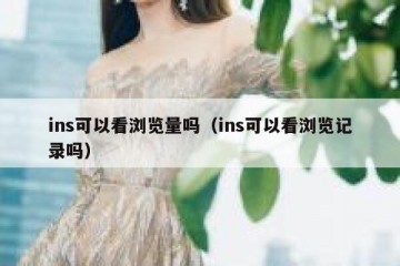 ins可以看浏览量吗（ins可以看浏览记录吗）