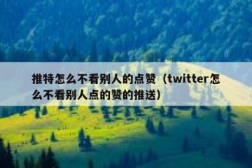 推特怎么不看别人的点赞（twitter怎么不看别人点的赞的推送）