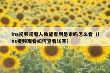 ins视频观看人数能看到是谁吗怎么看（ins视频观看如何查看访客）