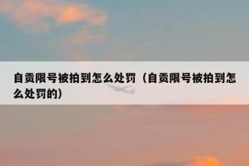 自贡限号被拍到怎么处罚（自贡限号被拍到怎么处罚的）
