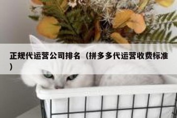 正规代运营公司排名（拼多多代运营收费标准）