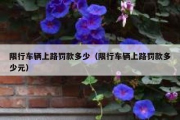 限行车辆上路罚款多少（限行车辆上路罚款多少元）