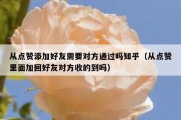 从点赞添加好友需要对方通过吗知乎（从点赞里面加回好友对方收的到吗）