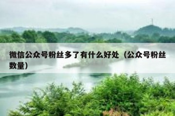 微信公众号粉丝多了有什么好处（公众号粉丝数量）