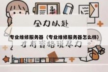 专业维修服务器（专业维修服务器怎么样）