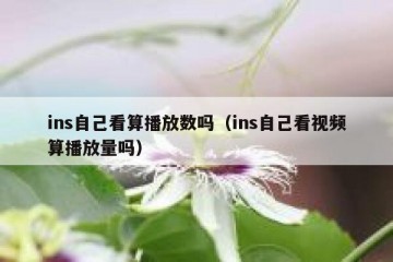 ins自己看算播放数吗（ins自己看视频算播放量吗）