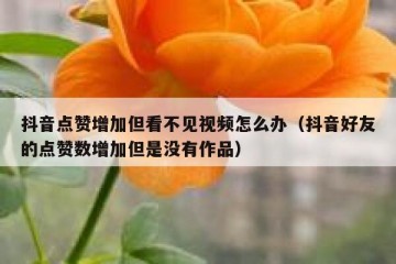 抖音点赞增加但看不见视频怎么办（抖音好友的点赞数增加但是没有作品）
