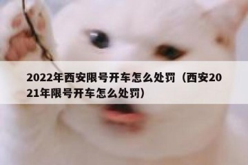2022年西安限号开车怎么处罚（西安2021年限号开车怎么处罚）