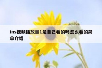 ins视频播放量1是自己看的吗怎么看的简单介绍