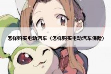 怎样购买电动汽车（怎样购买电动汽车保险）