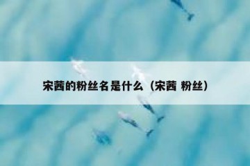 宋茜的粉丝名是什么（宋茜 粉丝）