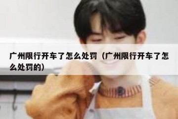 广州限行开车了怎么处罚（广州限行开车了怎么处罚的）