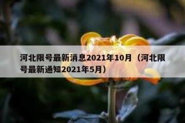 河北限号最新消息2021年10月（河北限号最新通知2021年5月）
