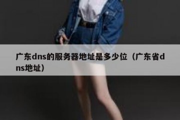 广东dns的服务器地址是多少位（广东省dns地址）