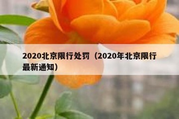 2020北京限行处罚（2020年北京限行最新通知）