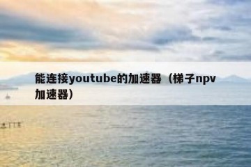 能连接youtube的加速器（梯子npv加速器）