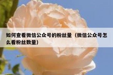 如何查看微信公众号的粉丝量（微信公众号怎么看粉丝数量）