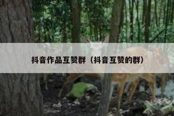 抖音作品互赞群（抖音互赞的群）