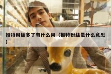 推特粉丝多了有什么用（推特粉丝是什么意思）