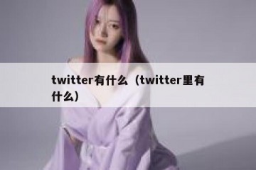 twitter有什么（twitter里有什么）