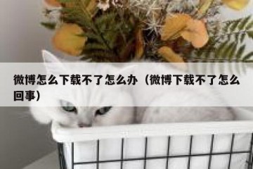 微博怎么下载不了怎么办（微博下载不了怎么回事）