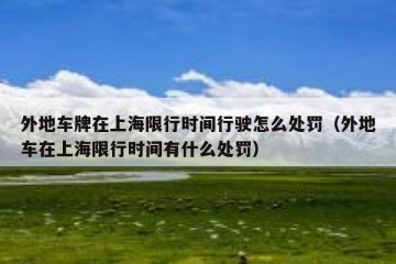 外地车牌在上海限行时间行驶怎么处罚（外地车在上海限行时间有什么处罚）