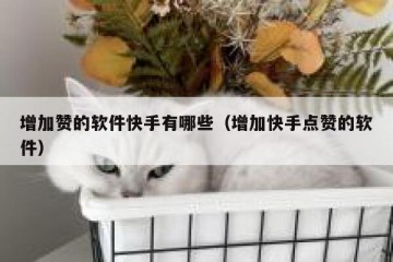 增加赞的软件快手有哪些（增加快手点赞的软件）