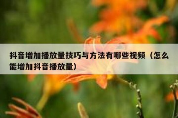 抖音增加播放量技巧与方法有哪些视频（怎么能增加抖音播放量）