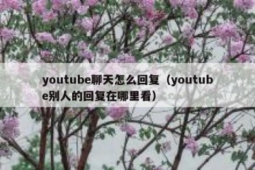 youtube聊天怎么回复（youtube别人的回复在哪里看）
