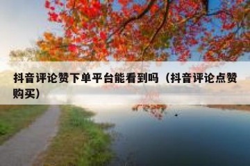 抖音评论赞下单平台能看到吗（抖音评论点赞购买）