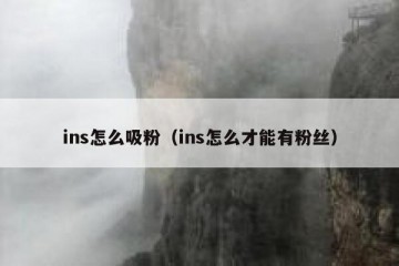 ins怎么吸粉（ins怎么才能有粉丝）