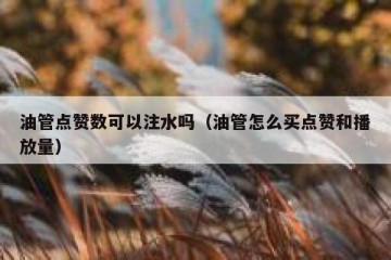 油管点赞数可以注水吗（油管怎么买点赞和播放量）